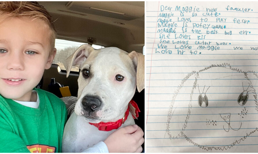 Little boy leaves sweet note for his foster dog’s new family: ‘the best dog you could ask for’