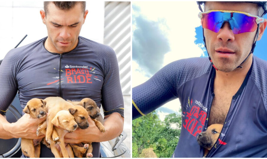 Cyclist Finds Abandoned Puppies Buried In Hole — Carries Them To Safety In His Shirt