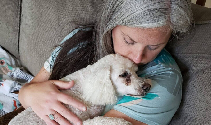 Woman turns her home into hospice for old shelter dogs so they don’t die alone