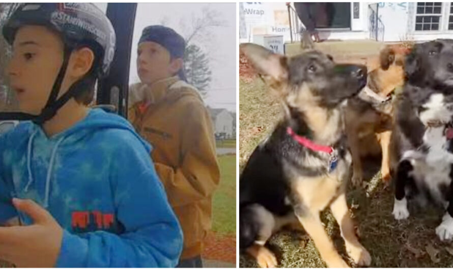 Heroic Boys Rescue Neighbors’ Dogs From House Fire