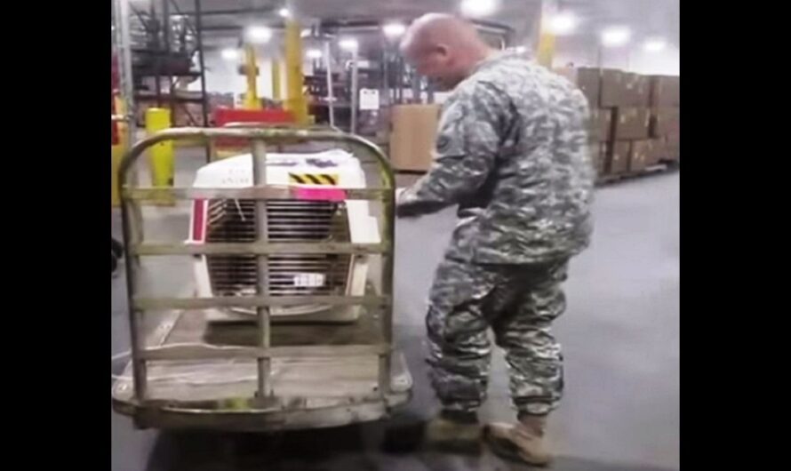 Soldier Forced To Leave His Dog On Deathbed Is Informed About A Crate’s Arrival