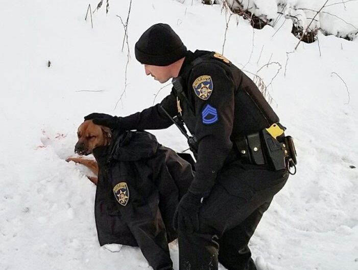 Police Officer Gives Injured Dog The Jacket Off His Own Back To Help Comfort And Keep Her Warm