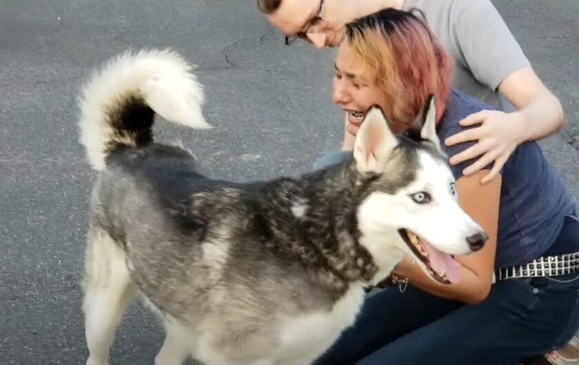 Miraculous Reunion: Woman Recovers Stolen Dog After Two-Year Search