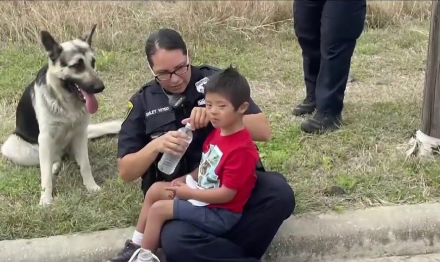 Incredible Story: Down’s Syndrome Boy Wanders Away, But Finds Unwavering Protection from His Loyal Guardian Angel GSD