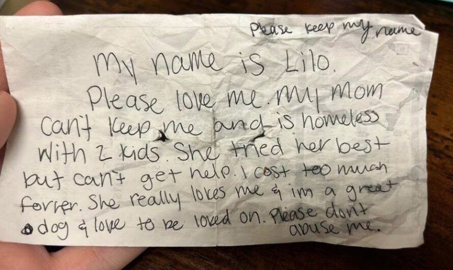 Animal Shelter Receives Dog With A Heartbreaking Note Attached