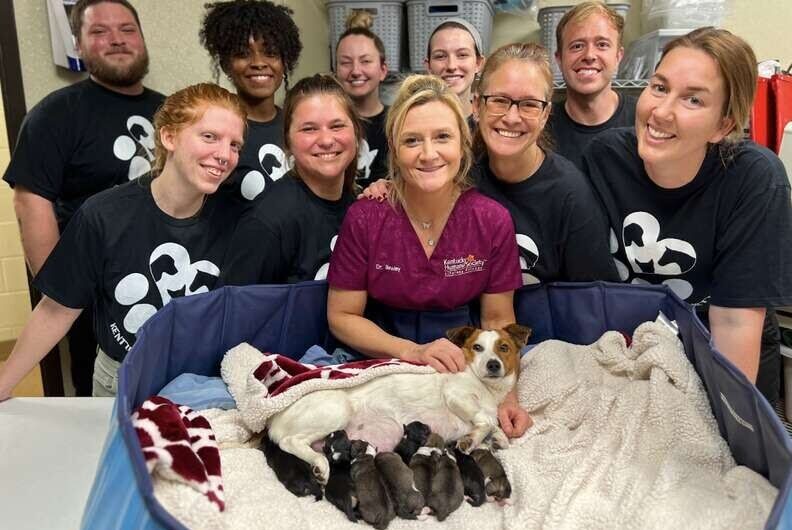 Tiny Shelter Dog Shocks Vets By Giving Birth To So Many Puppies