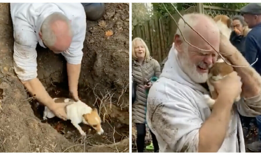 Man Breaks Down In Tears After Digging His Missing Dog Out Of A Fox Hole With His Bare Hands