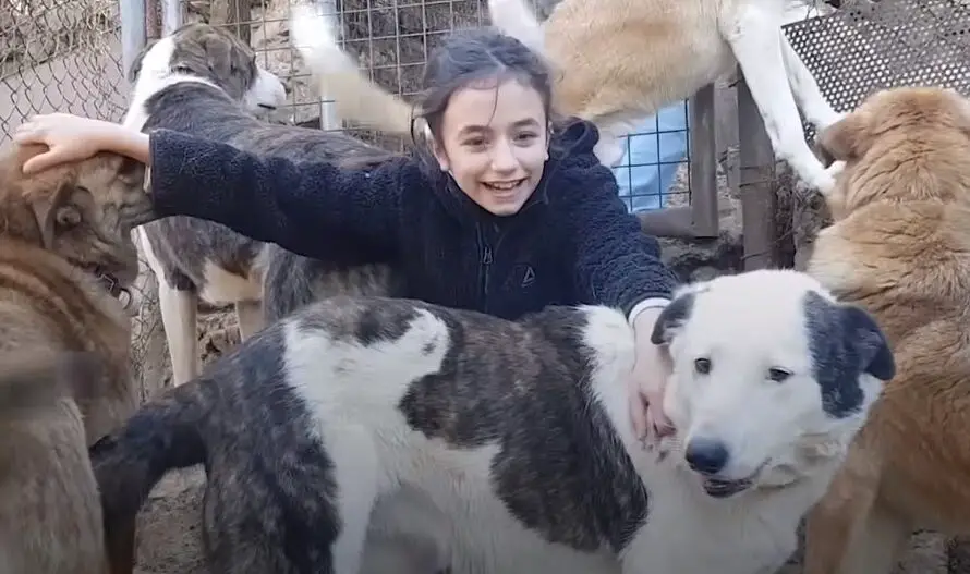 11 Year Old Girl From Lebanon Rescues Dog And Flies Them To Canada