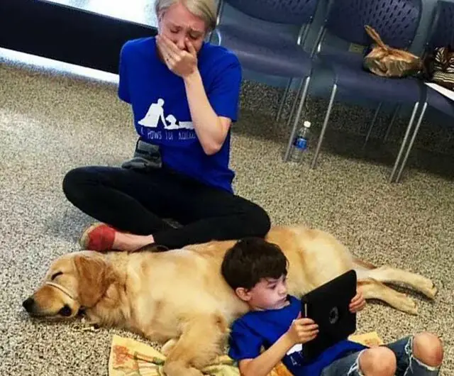 Tornado the Service Dog Brings Joy and Friendship to Boy with Autism: Heartwarming Moment Leaves Mom in Tears