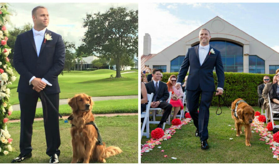 Wounded Army Veteran Gets His Service Dog By His Side As Best Man At His Wedding