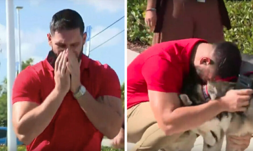 ‘That’s My Dog, Man! That’s My Dog,’ Man Overwhelmed with Emotion After Finding His Lost Dogs