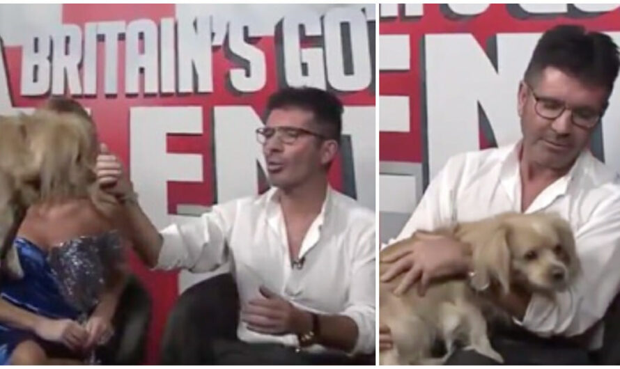 Simon Cowell in a Surprise Got To Meet One of the Dogs He Helped Rescue from the Slaughterhouse