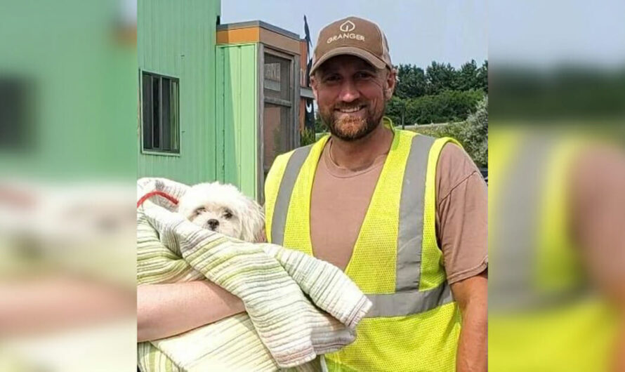 Garbage Truck Driver Saves Tiny Dog’s Life Who Ended Up In His Truck