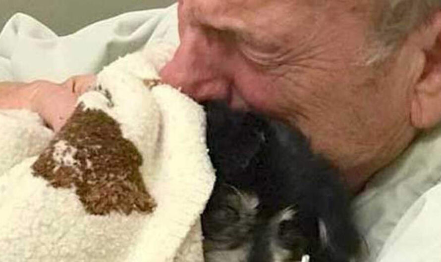 Grieving Man Who Lost His Beloved Dog Dies of Broken Heart