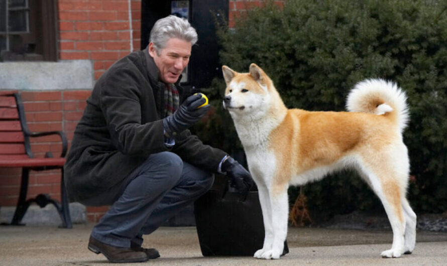 Dogs in History: Hachiko, the Dog that Waited for 9 Years