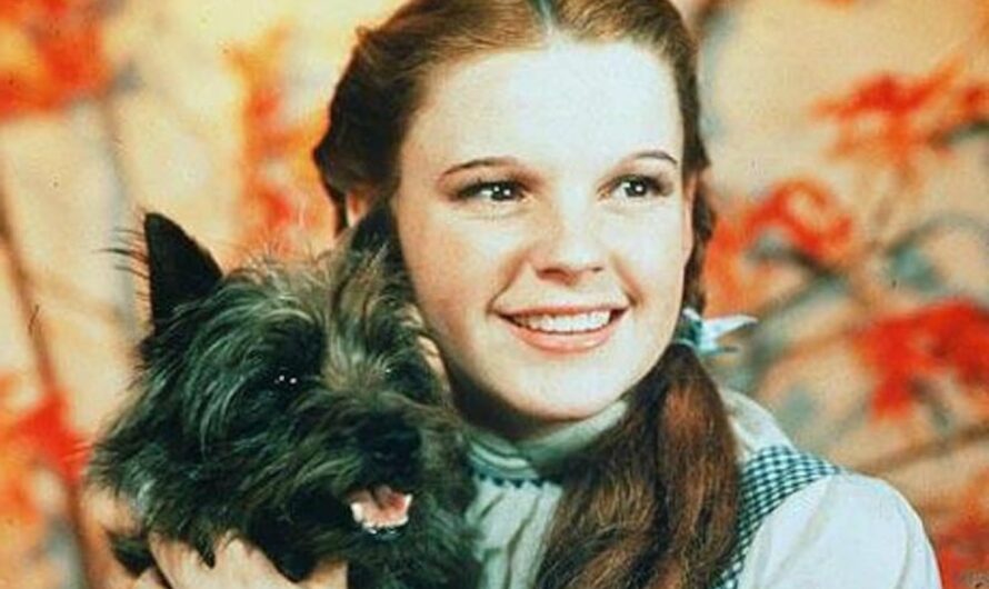 Dogs In History: Terry, The Wonderful Dog From Oz