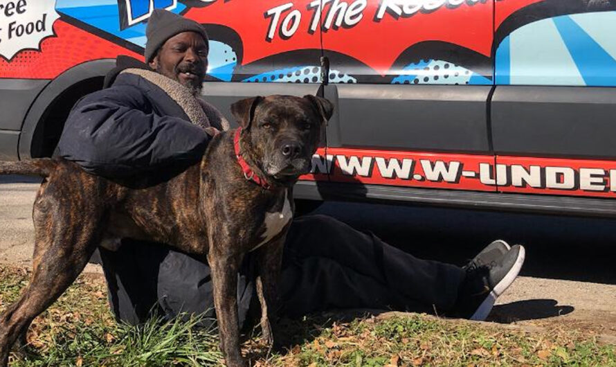 Homeless Man Saves All 16 Animals Inside Shelter That Caught Fire