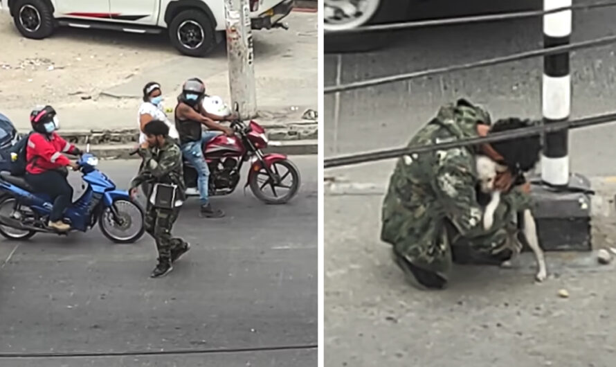 Struggling Street Performer Receives Warm Embrace From Dog After Being Ignored