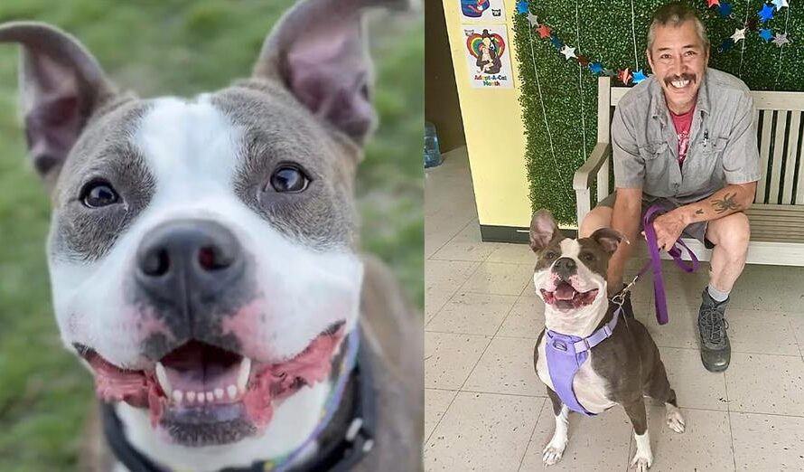 Shelter’s longest resident finally gets adopted after 420 days: “The moment we’ve all been waiting for”