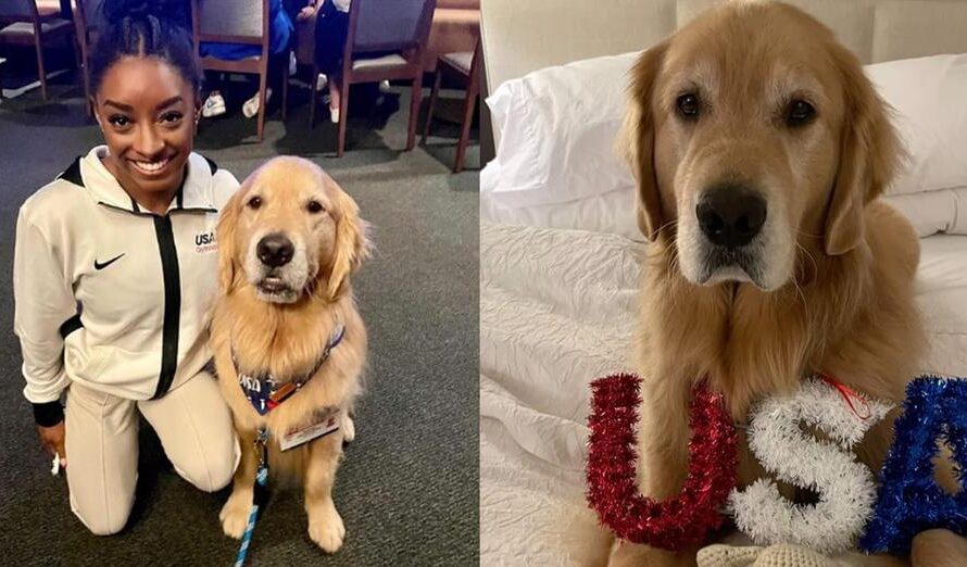 Meet Beacon, Team USA gymnastics’ beloved therapy dog: “Most Valuable Pup”