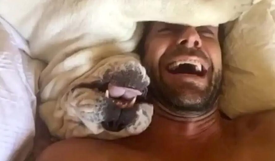 Grumpy Dog Makes Hilarious Sounds When Woken Up