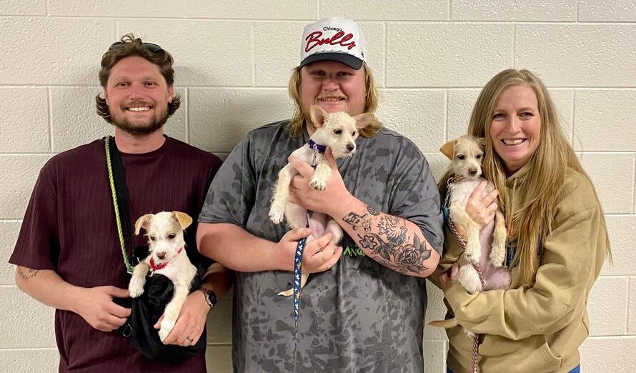 Three rescue puppies visit concert, get adopted by Tyler Childers’ road crew