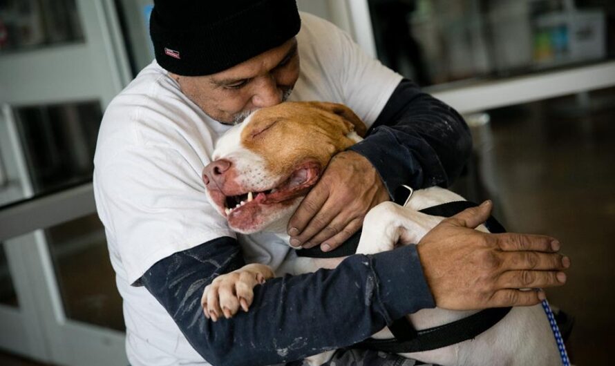 Man keeps promise to return for his pit bull after having to surrender him to shelter