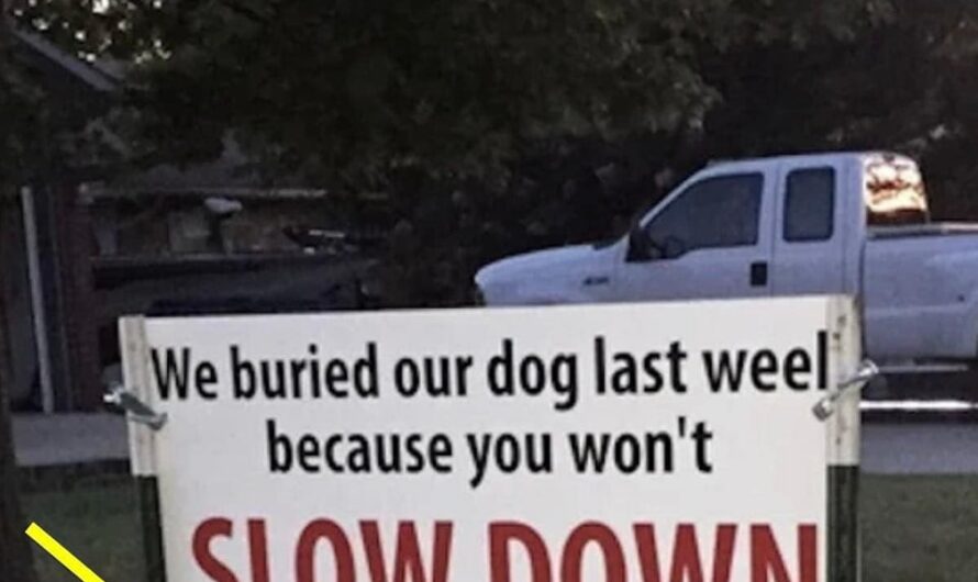 After dog gets hit by car, brutal sign has entire neighborhood talking