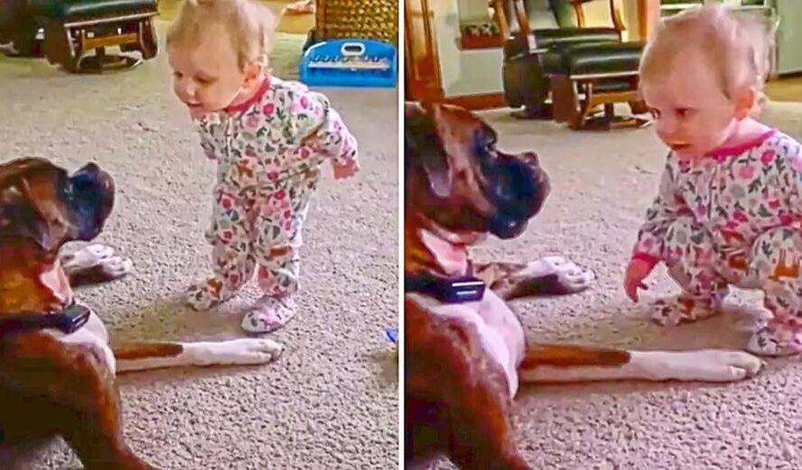 This Baby Can’t Stop Talking To Her Doggy Best Friend