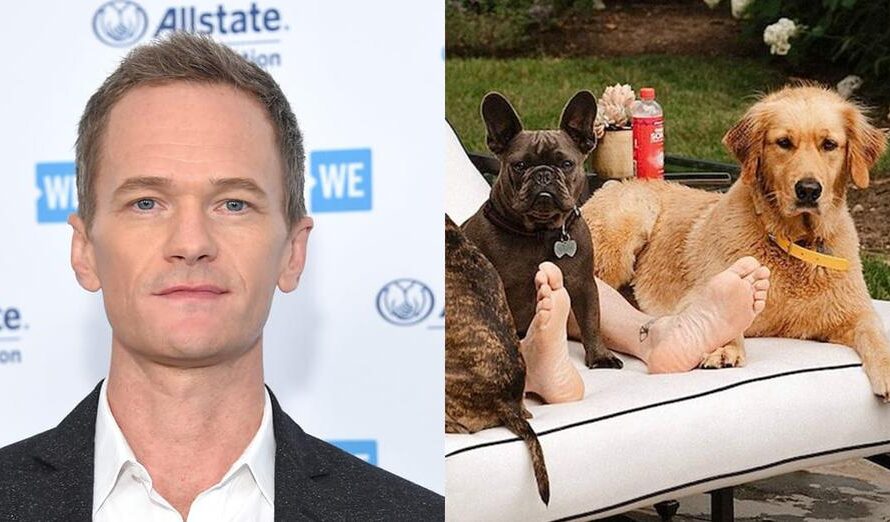 Neil Patrick Harris writes tribute to late dog Ella after tragic accident: “massive loss”