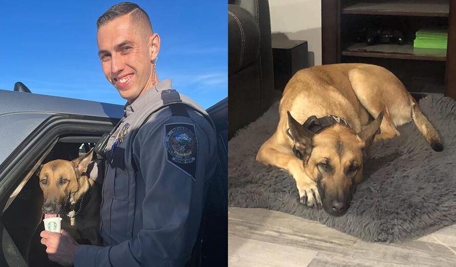 Trooper heartbroken after K9 partner was suddenly taken away from him — now he’s fighting to adopt her