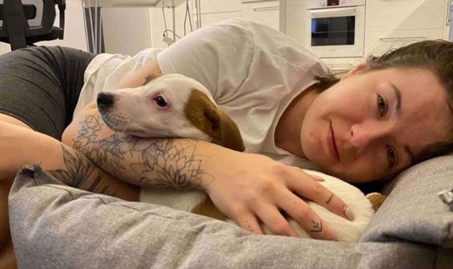 26-year-old Ukrainian volunteer killed while delivering food and supplies to dog shelter