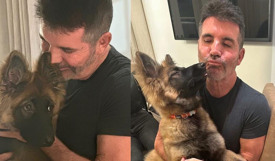 Simon Cowell adopts “new arrival,” adorable dog named Pebbles — see the precious photos