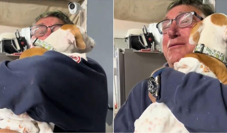 Man Cries When Daughter Hands Him A Puppy To Mend His Grieving Heart