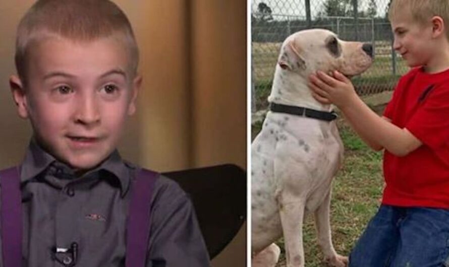 7-Year-Old Boy Wins ASPCA Award For Rescuing More Than 1,300 Dogs From High-Kill Shelters