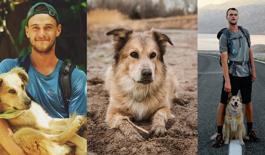 Savannah, first dog to walk around the world, has died — rest in peace