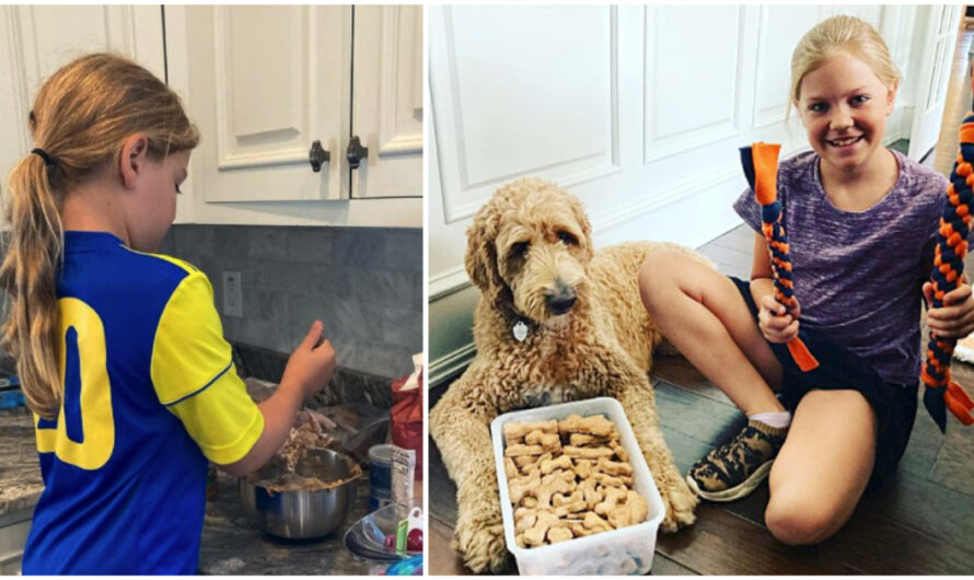 9-Year-Old Girl Starts ‘Barkery’ To Sell Homemade Dog Treats Online To Raise Money For Shelter