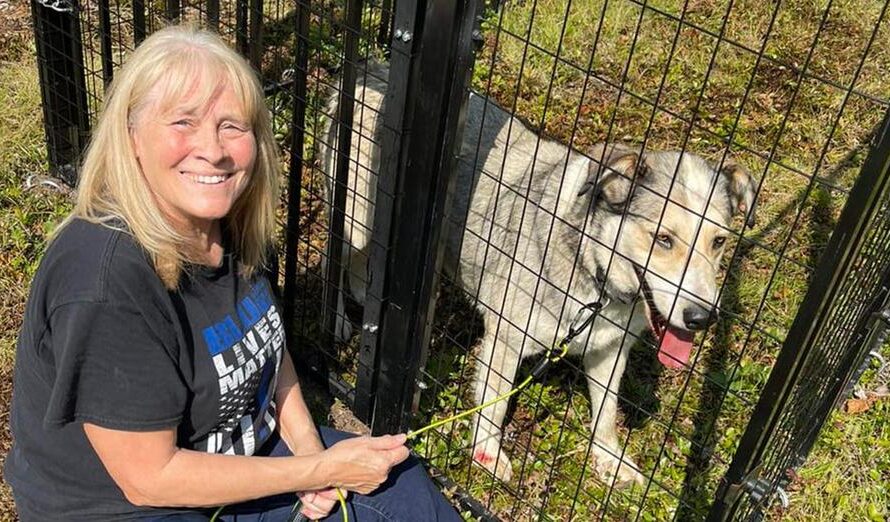 Couple spent over a year gaining missing dog’s trust — now they’ve finally brought him home