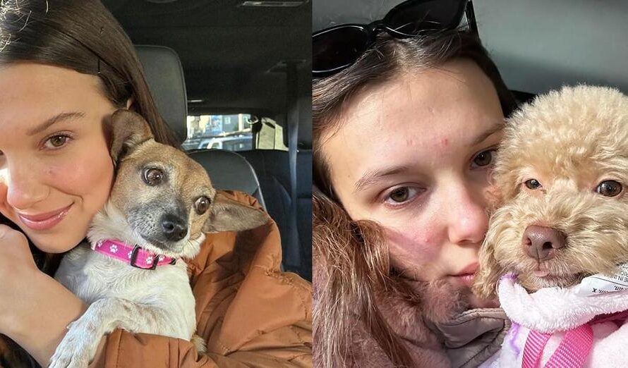 “Stranger Things” star Millie Bobby Brown says she’s currently fostering 23 dogs