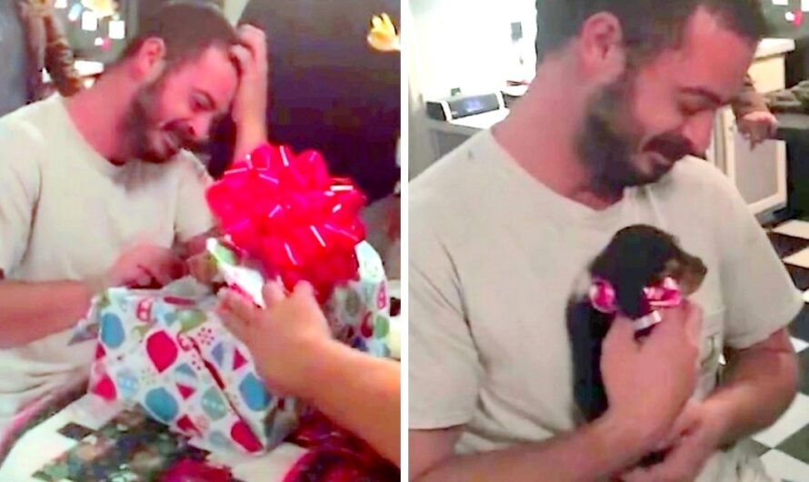 Veteran Suffering From PTSD Gets An Early Christmas Present & Bursts Into Tears