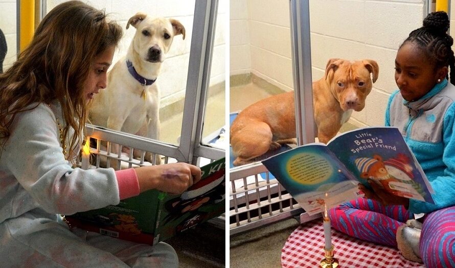 “Undesirable” Dog Was Going To Be Put Down, So Girl Began Reading Him Stories