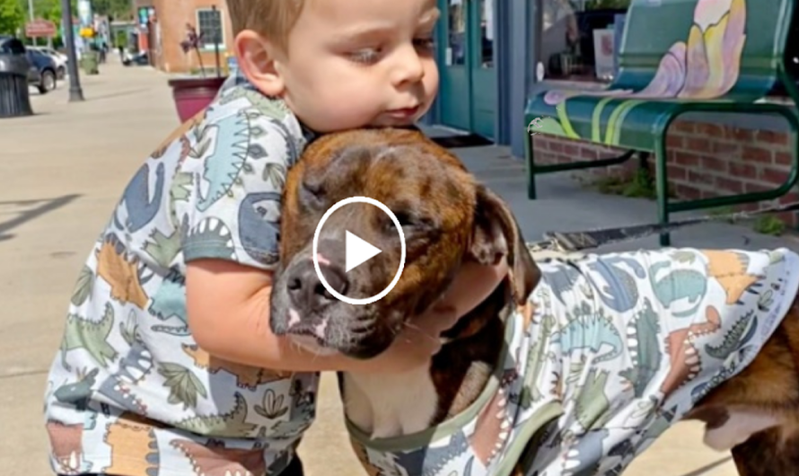 “To convince her husband that their new dog has become a family member, the mother buys uniforms for the dog and their son.”