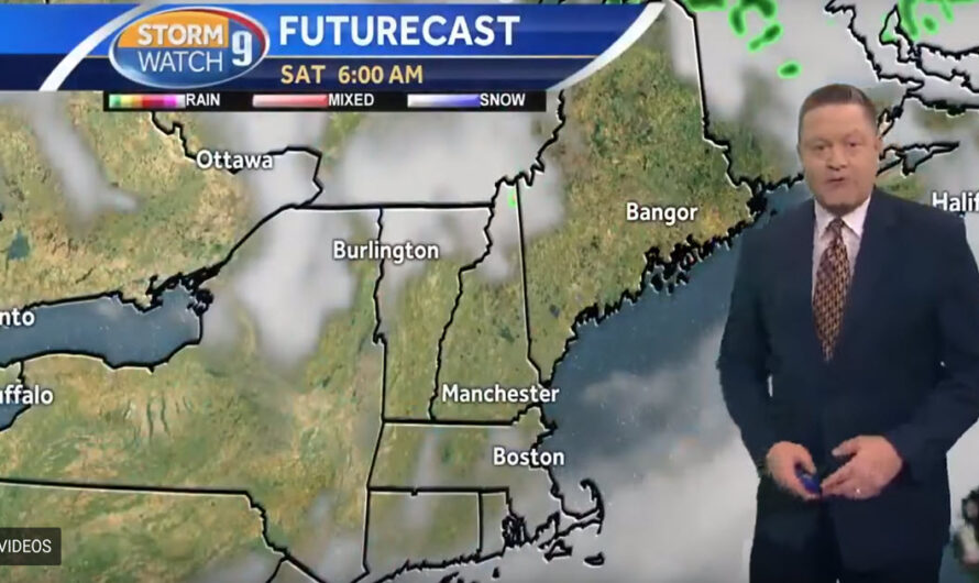 Dog Strolls Onto News Show During Weather Report, Has Anchorman Cracking Up