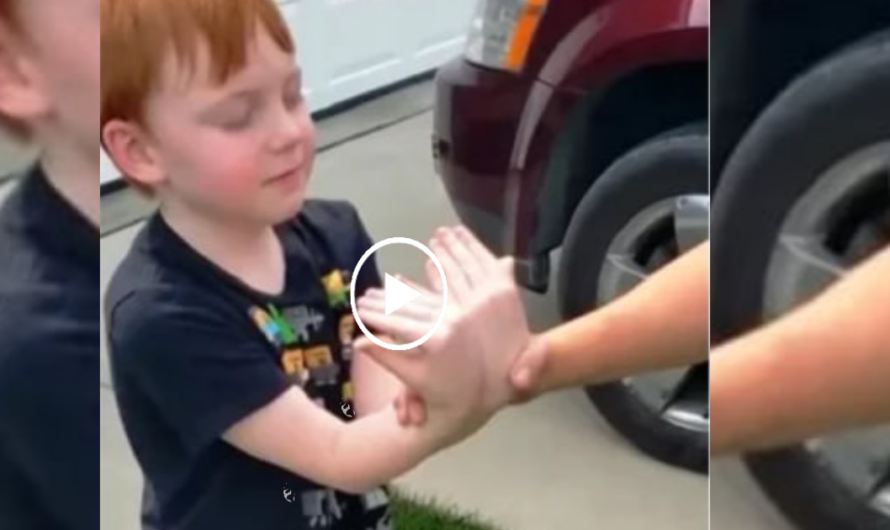 Boy Was Saving Up To Buy Puppy, Grandma Asks Him To Close His Eyes & Stretch His Arms