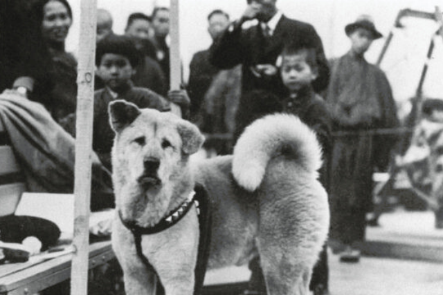 Hachiko and people