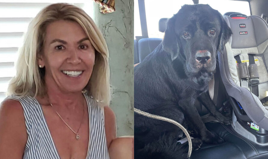 Texas Woman With Dementia That Went Missing Was Rescued Through The Bark of Her Dog