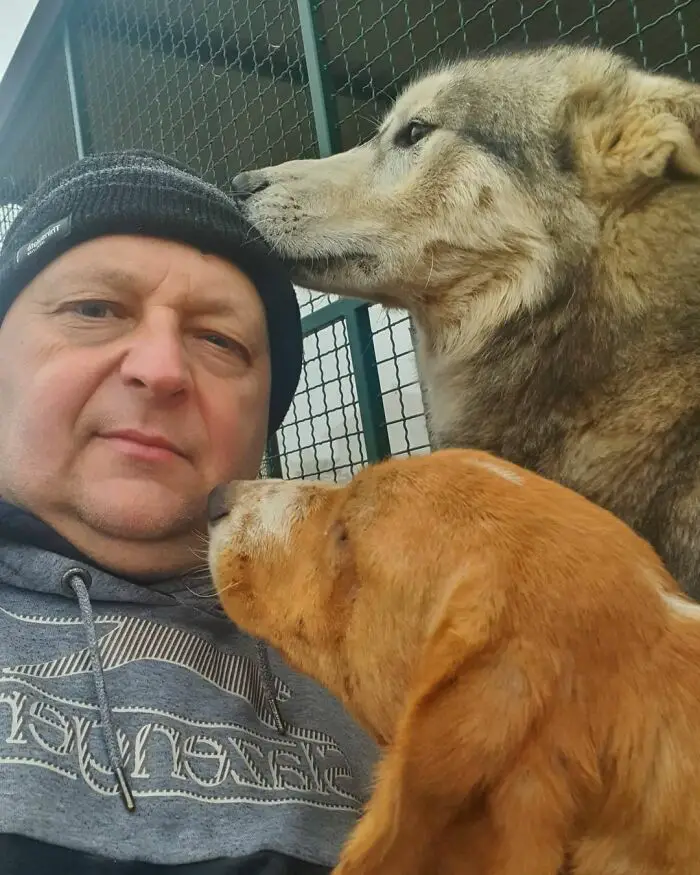 Meet Dejan Gacic, The Good Man Who Has A Shelter With Over A Thousand Dogs