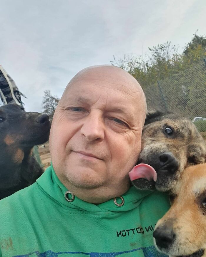 Meet Dejan Gacic, The Good Man Who Has A Shelter With Over A Thousand Dogs