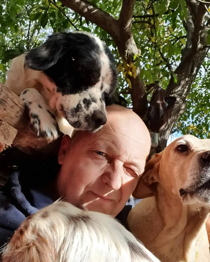 Meet Dejan Gacic, The Good Man Who Has A Shelter With Over A Thousand Dogs