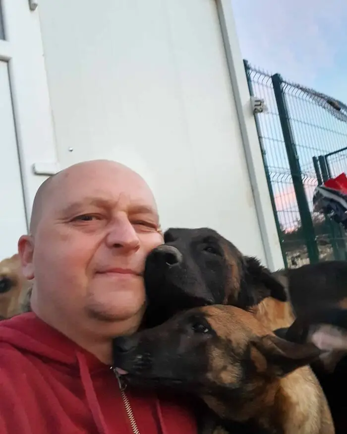 Meet Dejan Gacic, The Good Man Who Has A Shelter With Over A Thousand Dogs